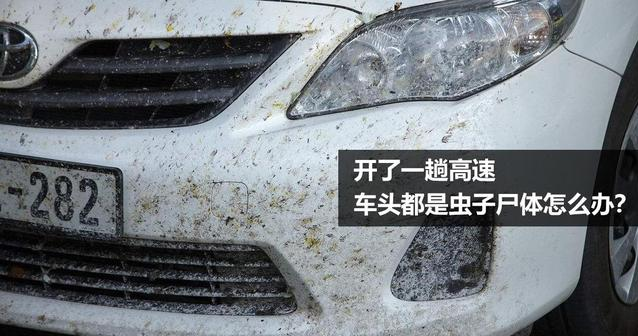 開(kāi)了一趟高速 車頭都是蟲(chóng)子尸體怎么辦