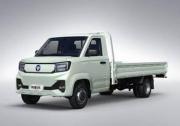 祥菱V5寬體重載小貨車 3.8米大貨箱 每趟多賺40元